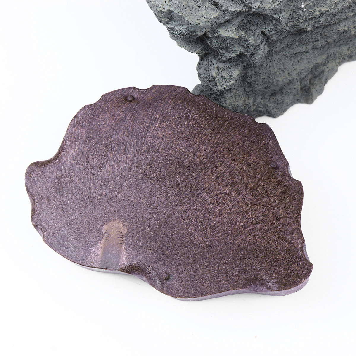 Reptile Resin Food Dish Coffee - Water Dish Reptile 评论和价格