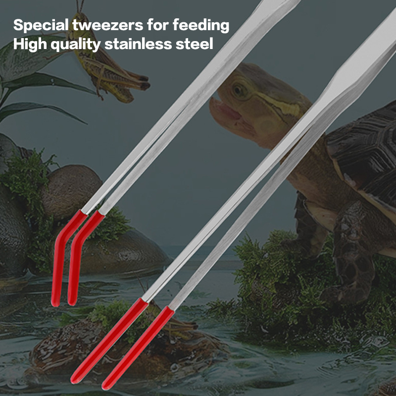 Stainless Steel Fish Tank Main - Feeding Tong Stainless 评论和价格