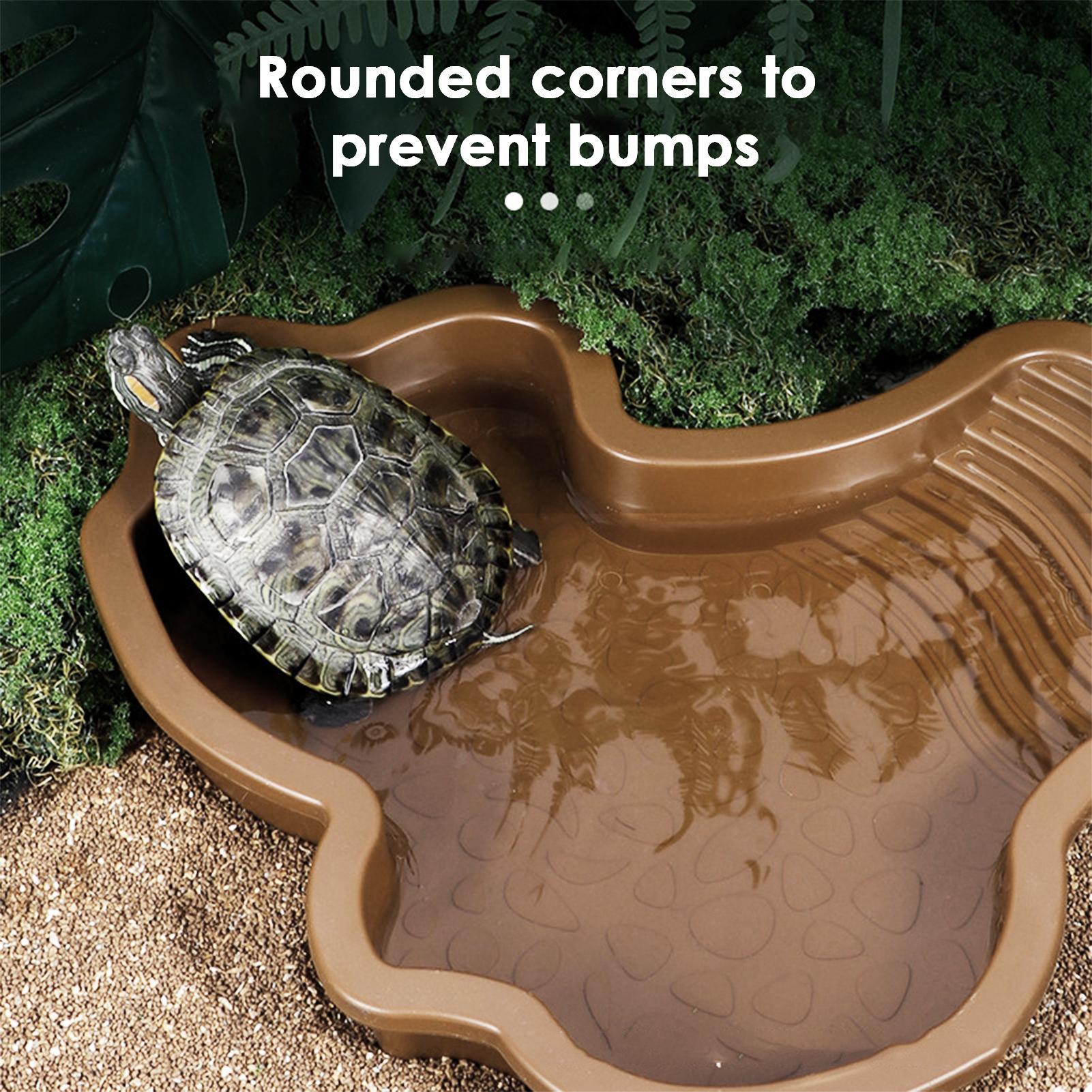 Reptile Bathing Pool with Ramp - Water Dish Reptile 评论和价格