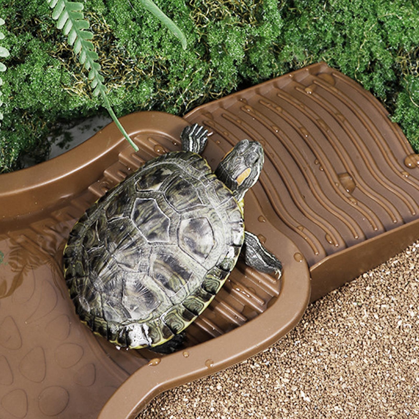 Reptile Bathing Pool with Ramp - Water Dish Reptile 评论和价格