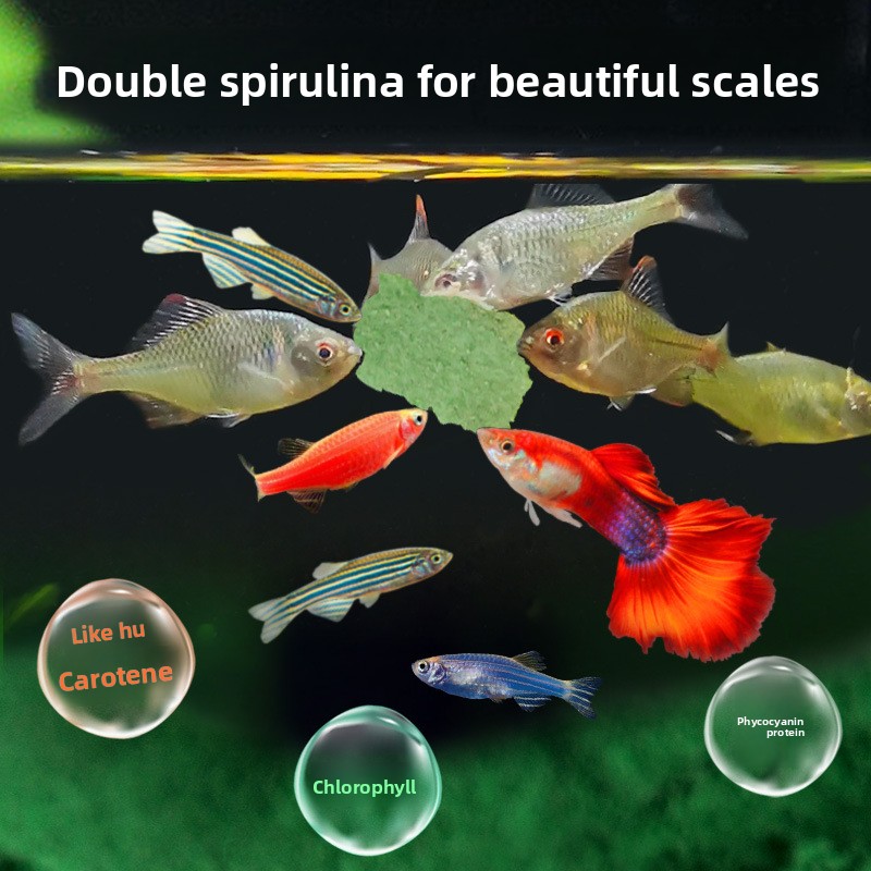 DEERA Tropical Fish Flakes, Un - Tetra Food Tropical Flakes 评论和价格