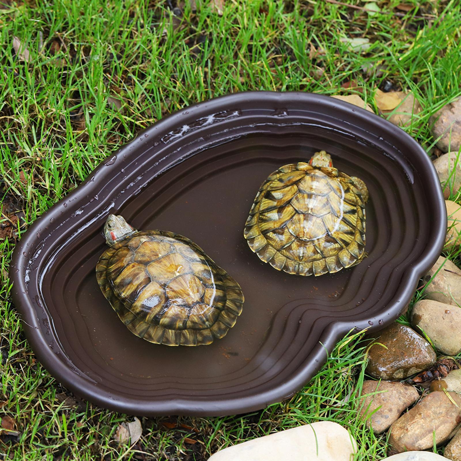 Reptile Bathing Dish Tortoise  - Water Dish Reptile 评论和价格