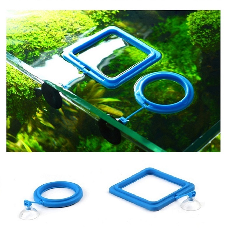 Fish Feeding Ring Feeder Fishi - Tetra Food Tropical Flakes 评论和价格