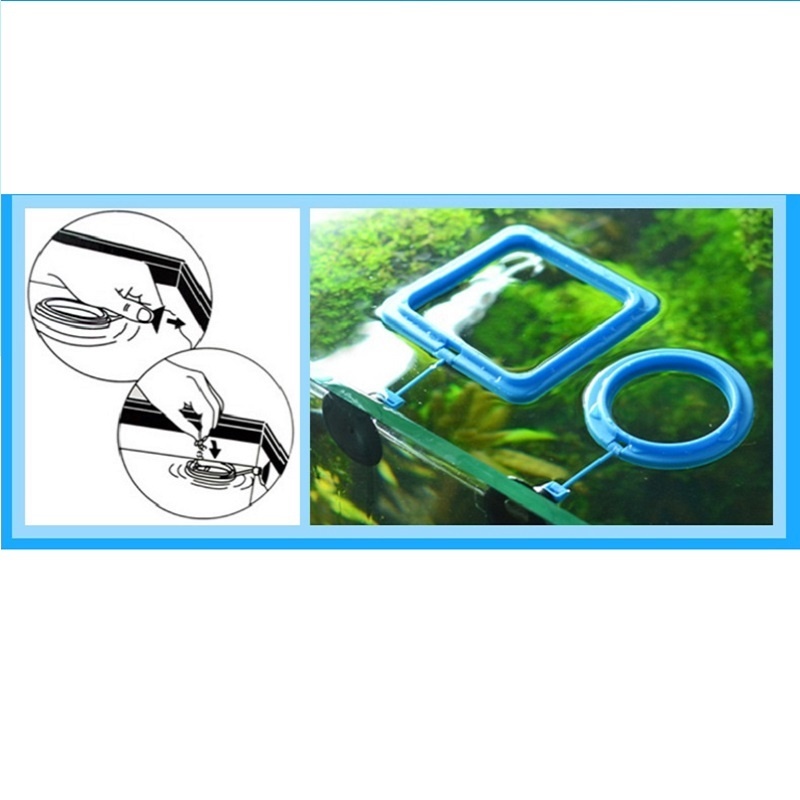 Fish Feeding Ring Feeder Fishi - Tetra Food Tropical Flakes 评论和价格
