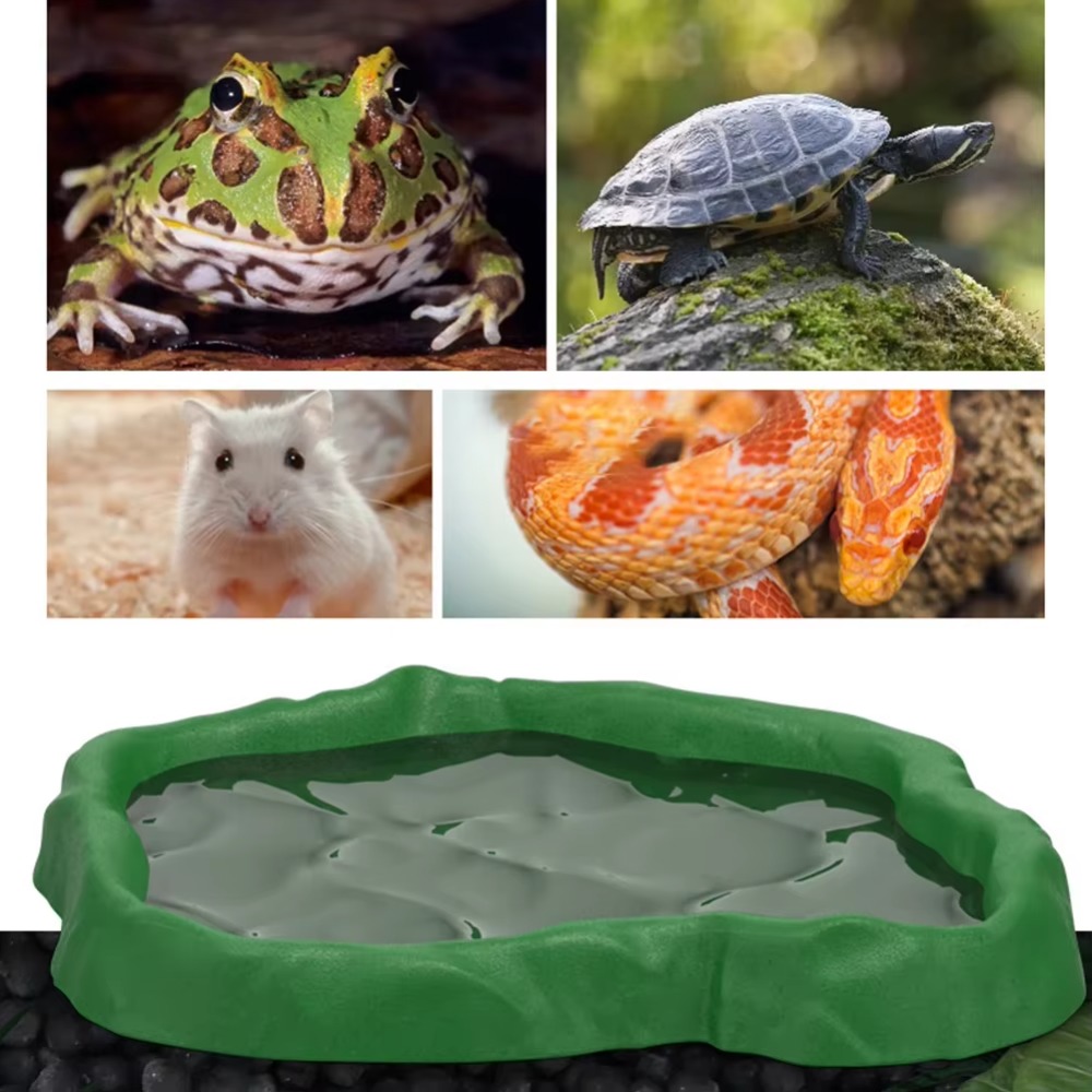 ABS Resin Reptile Feeder Bowl  - Water Dish Reptile 评论和价格