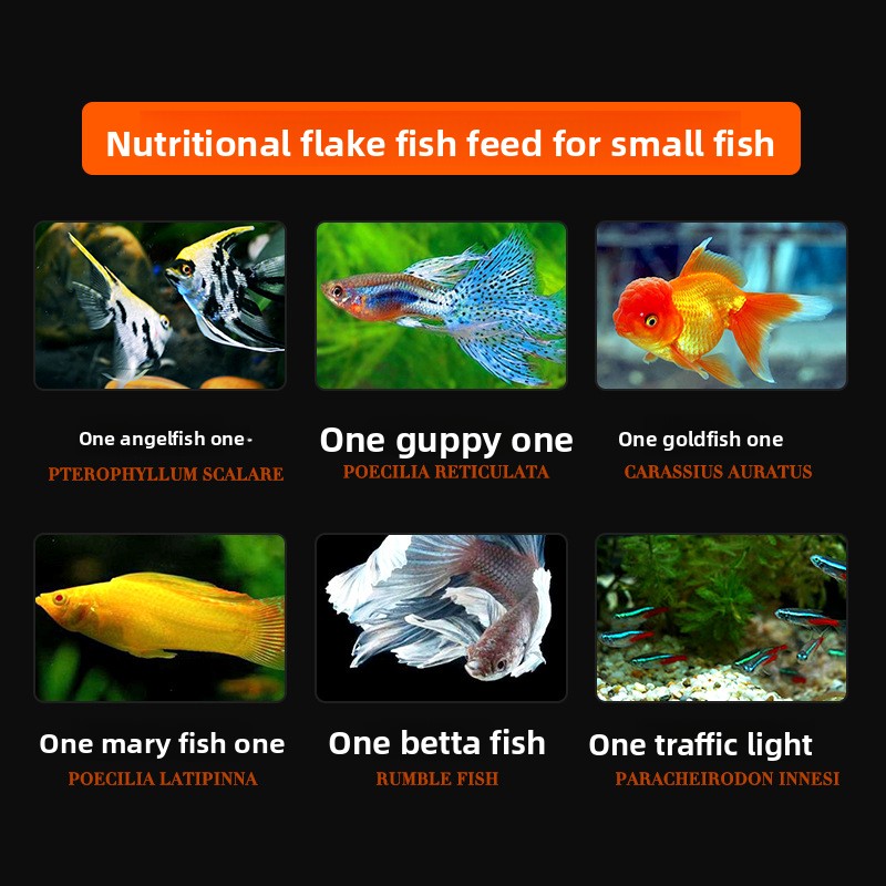 DaJiaWa Spirulina Flake Fish F - Tetra Food Tropical Flakes 评论和价格
