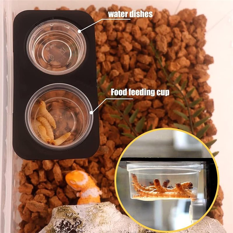 Crested Gecko Food And Water F - Water Dish Reptile 评论和价格
