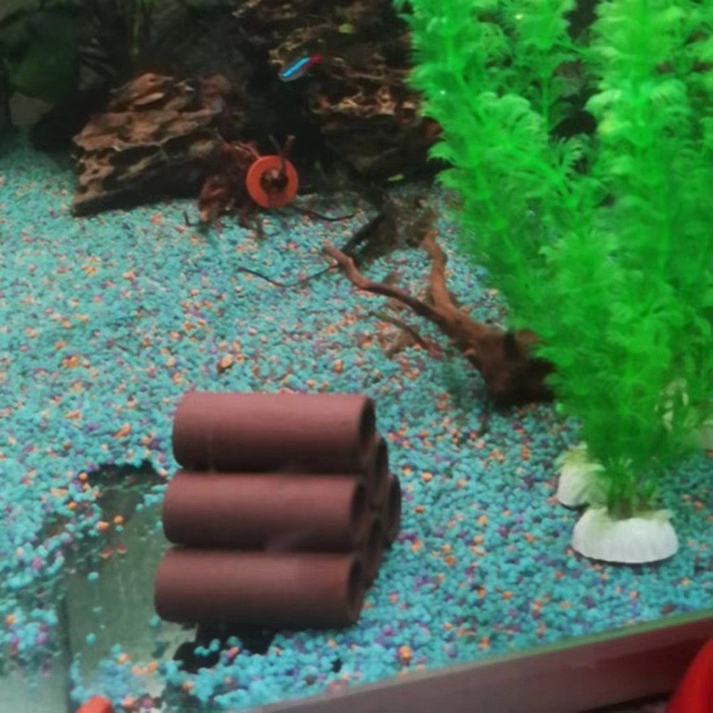 Playing Breeding Spawning Aqua - Hide Cave Ceramic 评论和价格