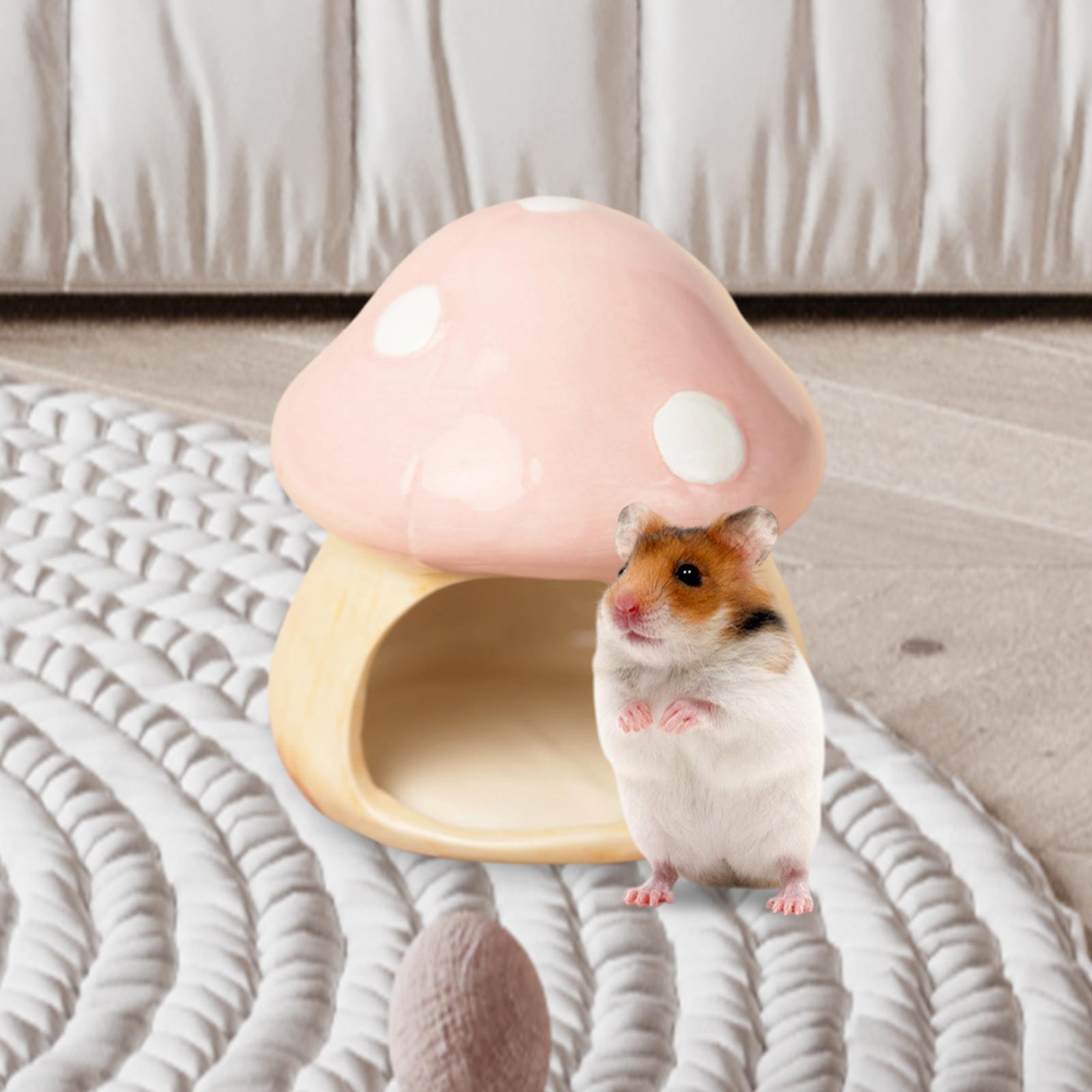 Ceramic Mushroom Hamster Hideo - Hide Cave Ceramic 评论和价格